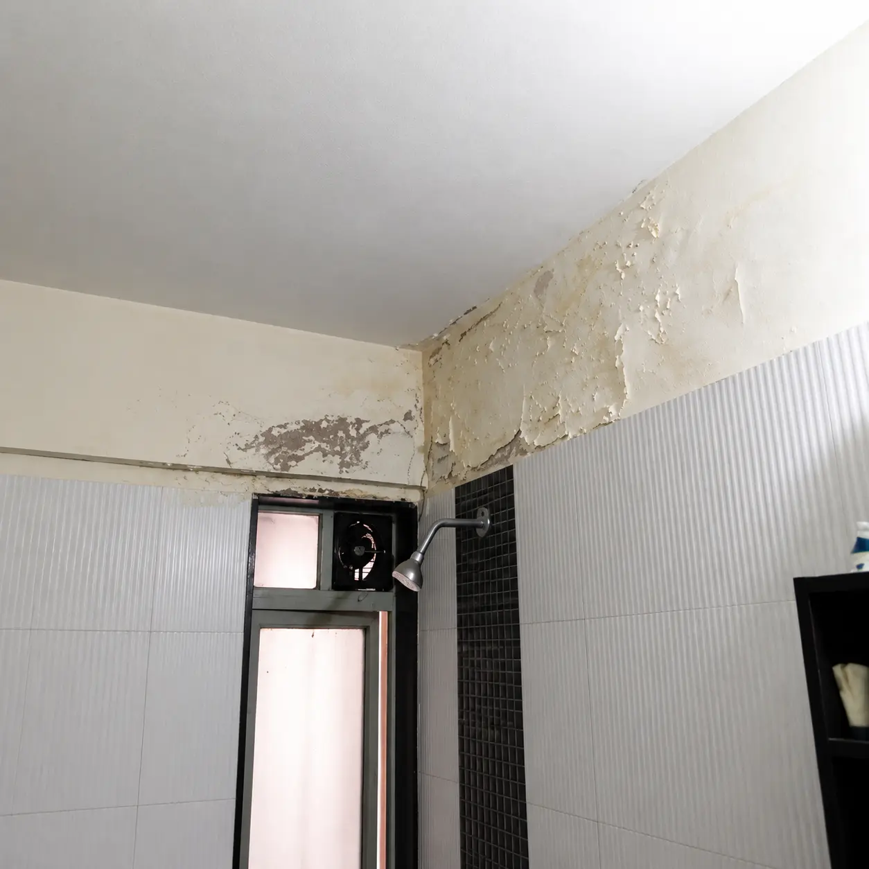 Bathroom wall and ceiling damaged by water leakage